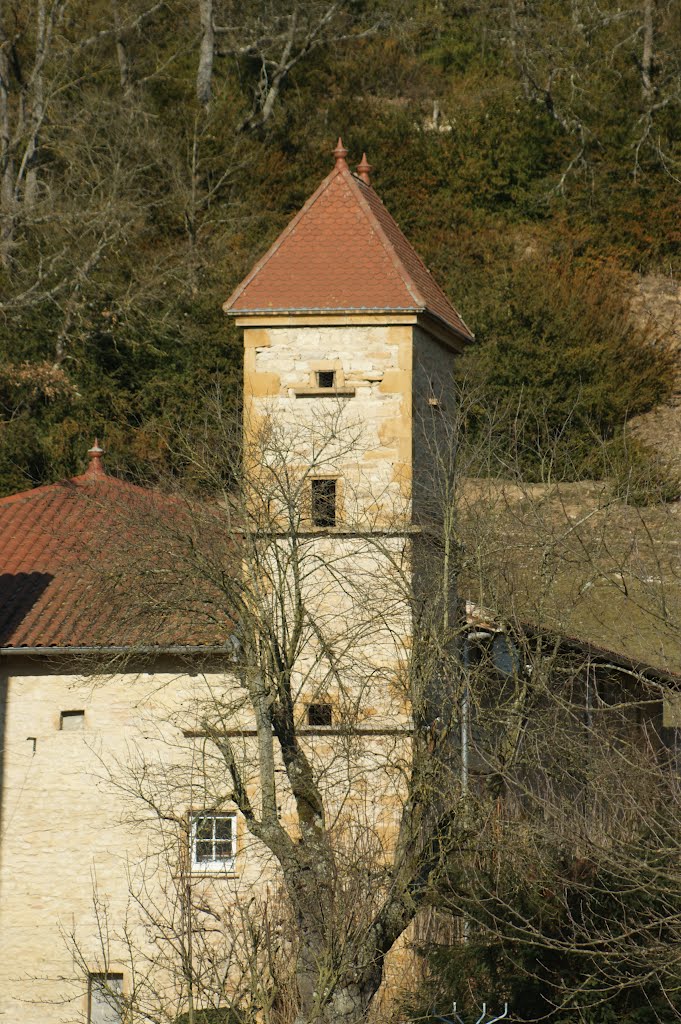 Pigeonnier à Châtillon-DAzergues