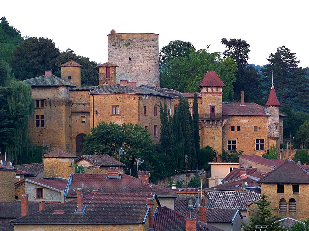 CHESSY - LE CHÂTEAU