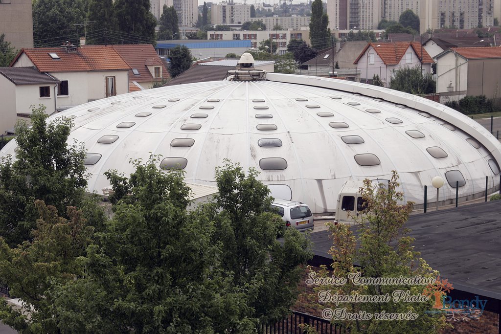 Piscine tournesol
