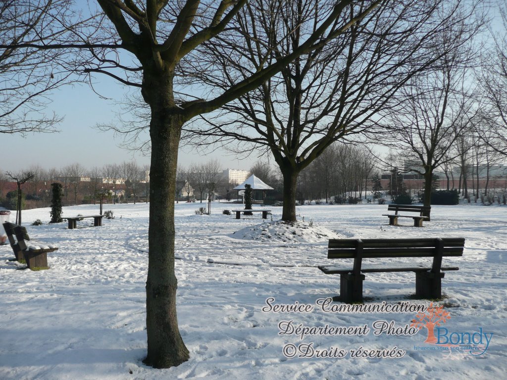 Parc de la mare à la veuve janvier 2009