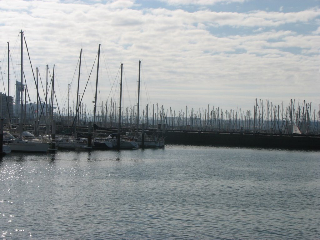 Portul