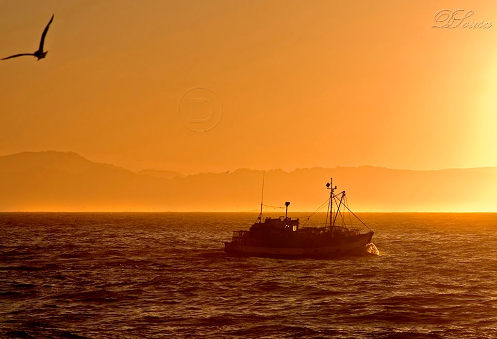 Boat Sunrise