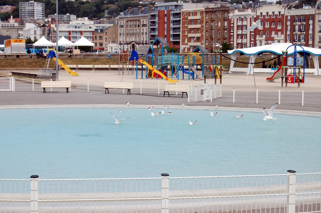 The Sea-gulls are taking a bath in the kids pool.