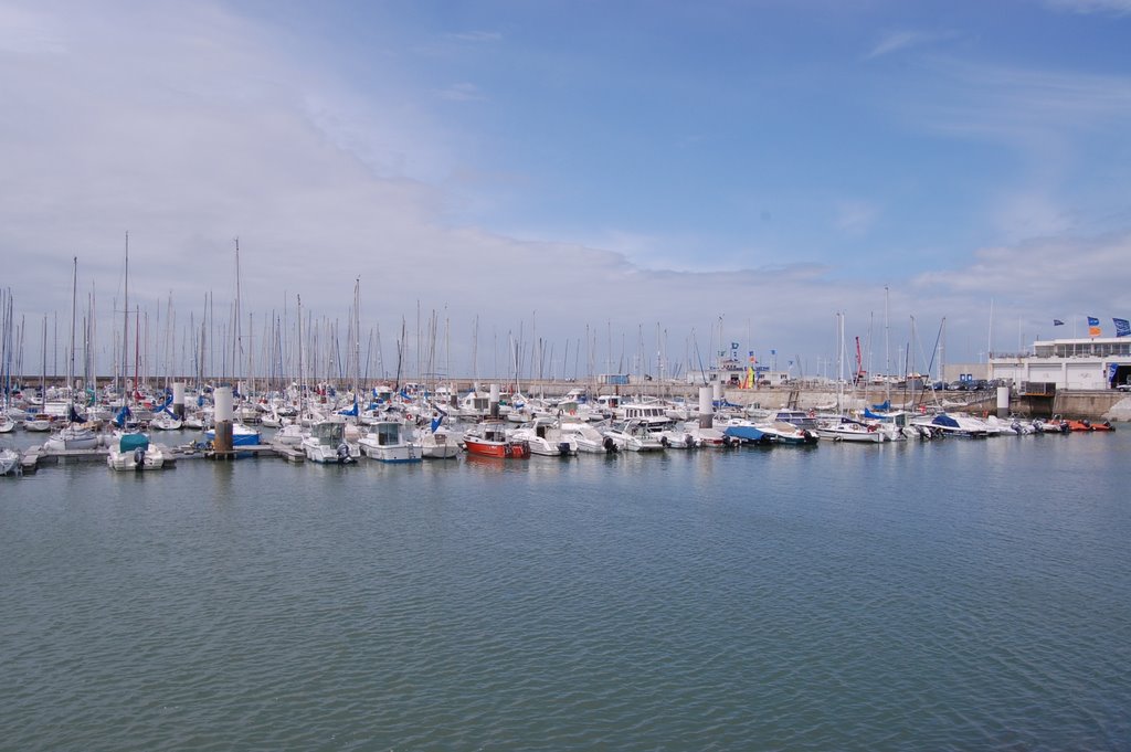 A forest of masts