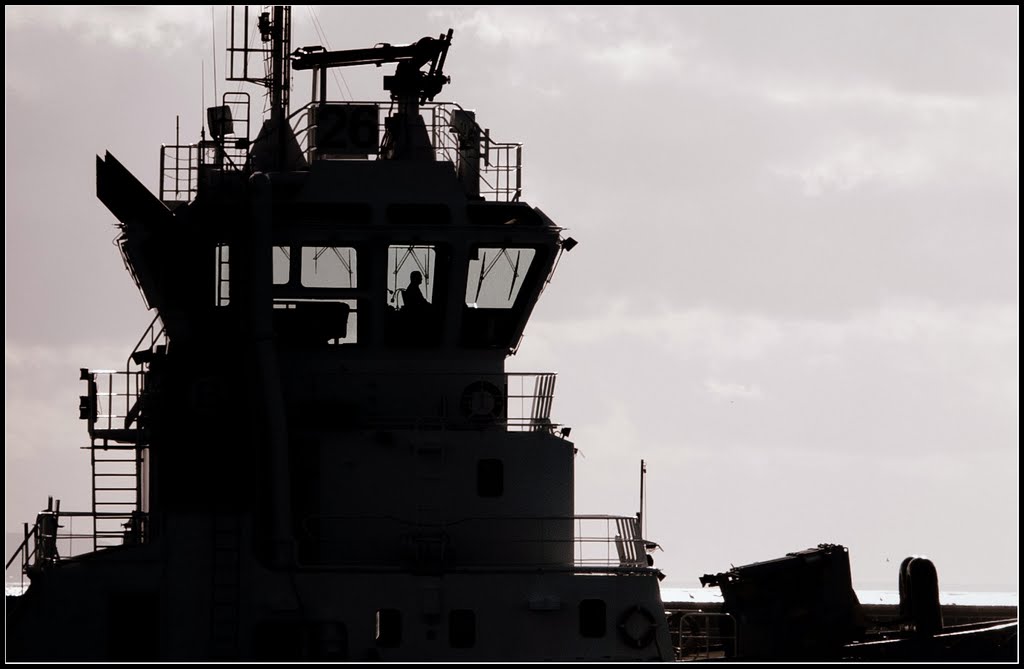 Le pilote du bateau pilote