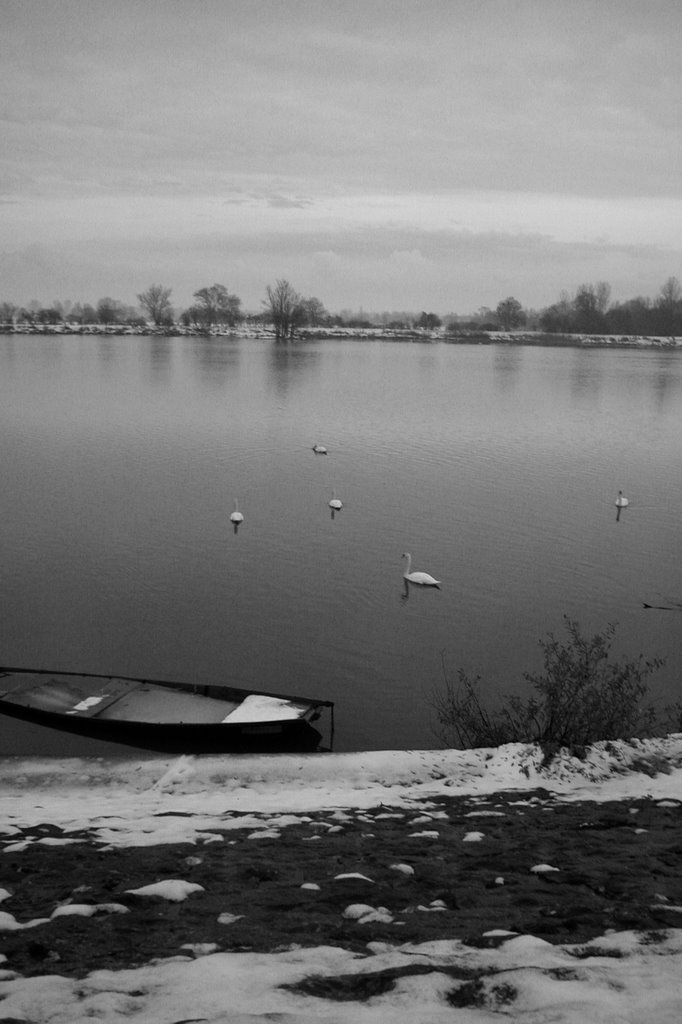Bord de Saône