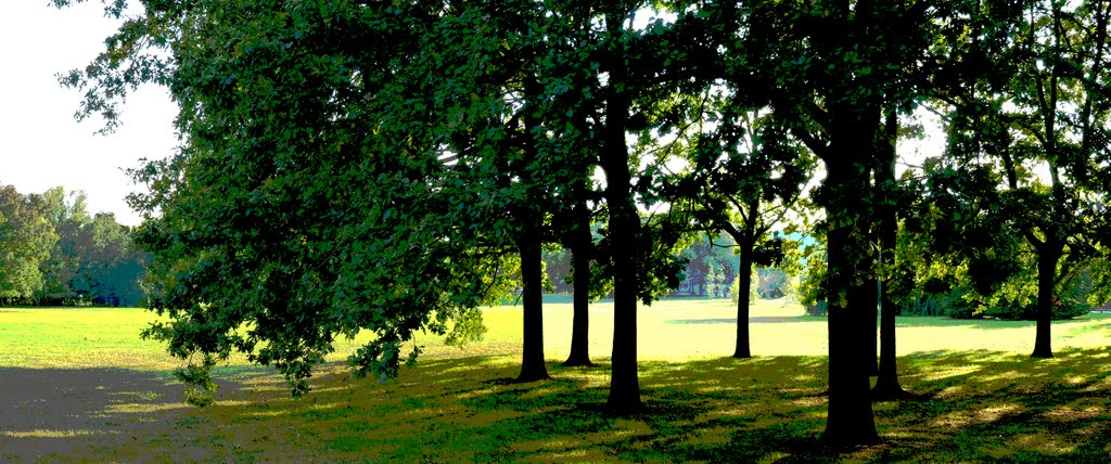 Au milieu du parc