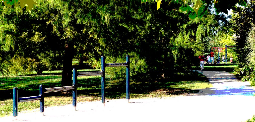 Parcours dActivités Physiques Aménagé