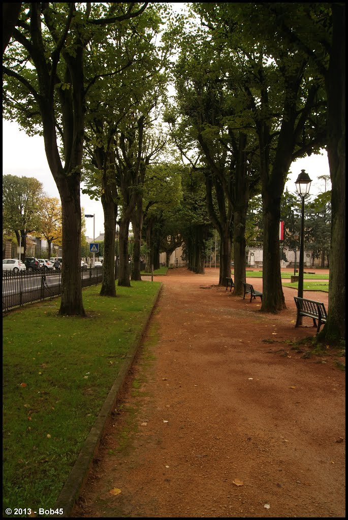 Mâcon - Allée du square de la Paix