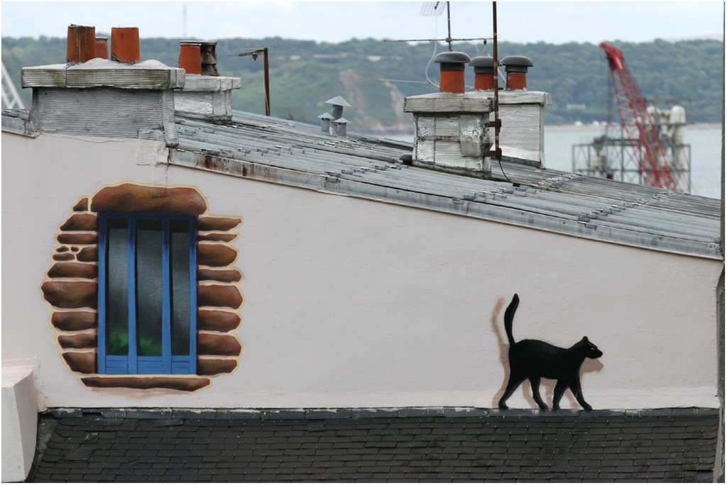 Chat sur un toit brulant
