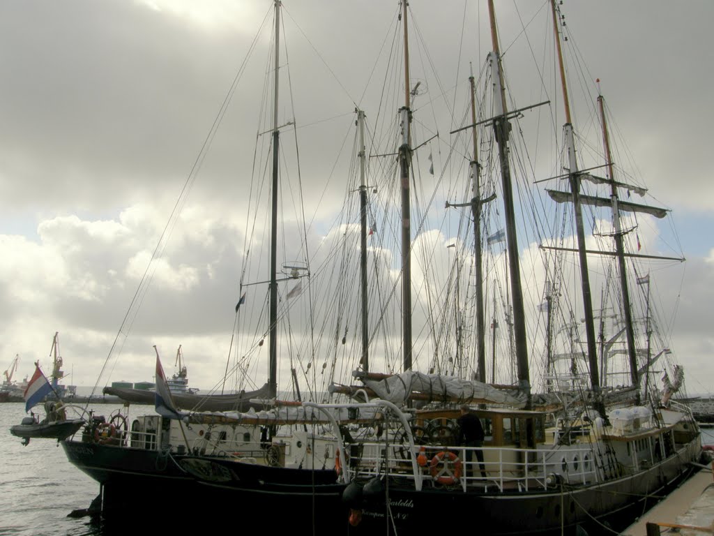 Brest, 2008