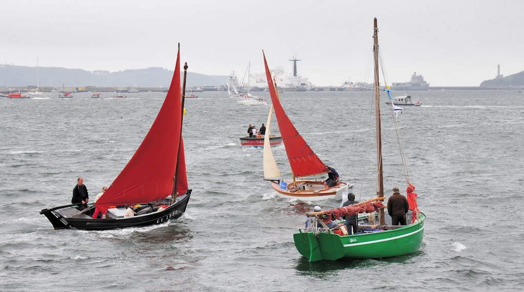 Brest 2012 - La flotille