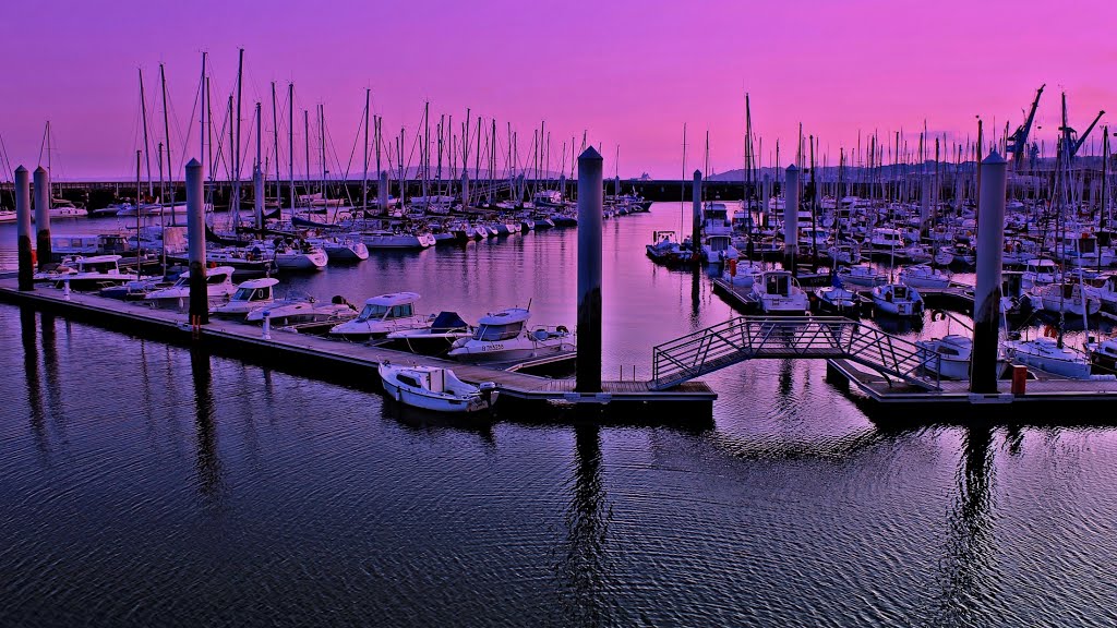 the last ones pink lights, brest harbor
