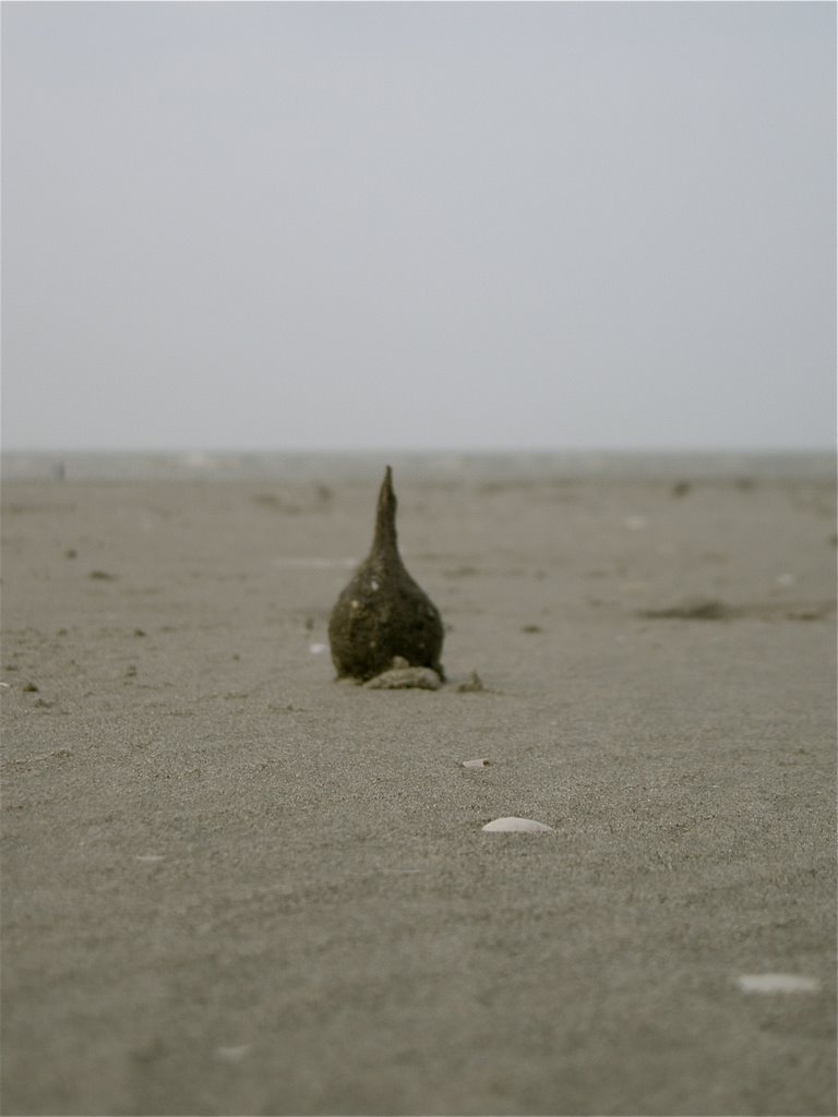 It just looks like a poo. But it isnt.
