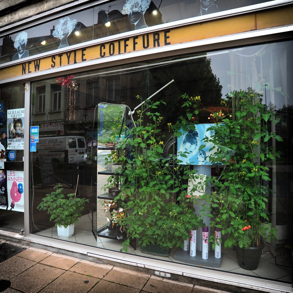 new style coiffure cocktailtomatoes