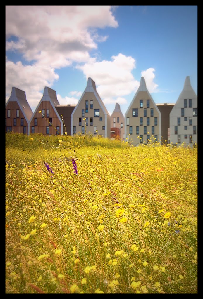 DUNKERQUE - Une campagne à la ville