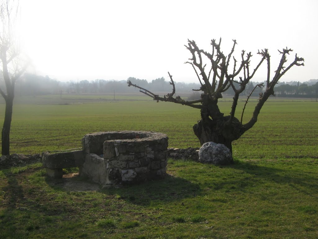 Petit puit à Saint Privat, Rousset