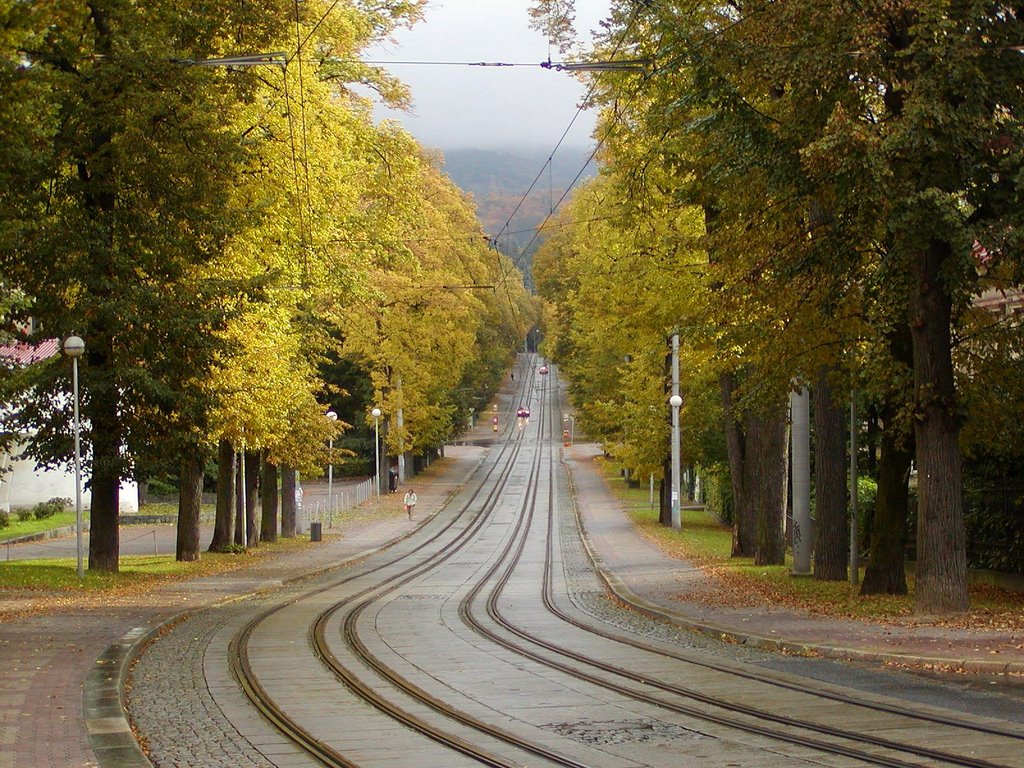 Železný Brod