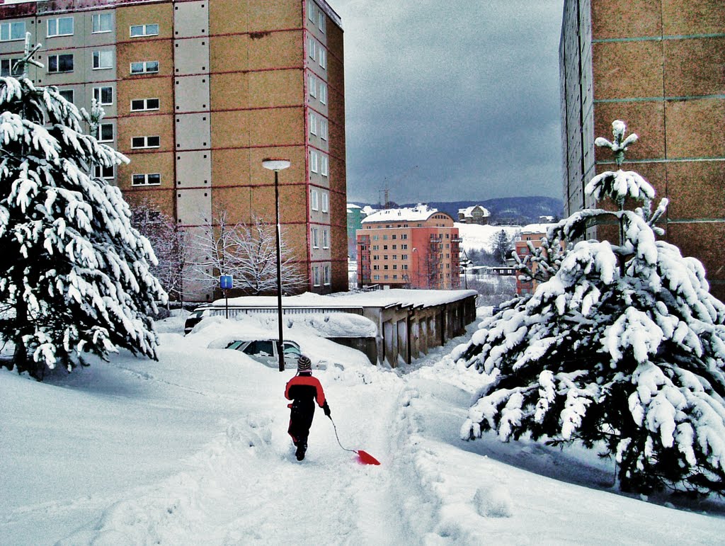 LIBEREC ROCHLICE HAŠKOVA Ul.