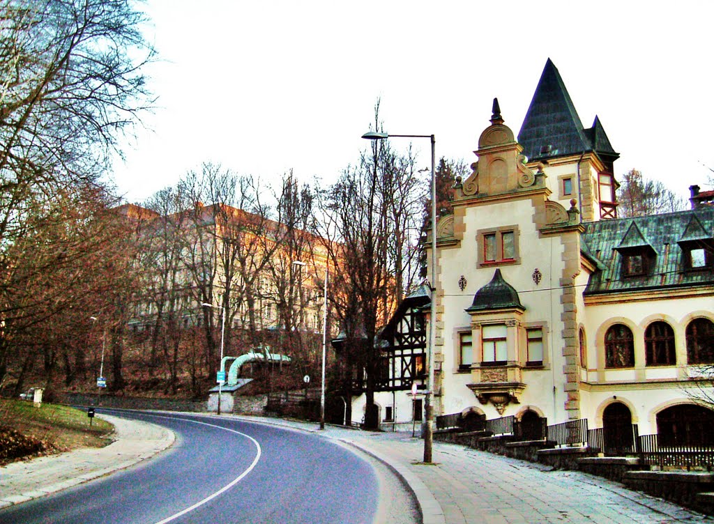 LIBEREC LIEBIGOVA VILA, KLÁŠTER