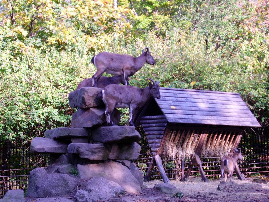 Zoo,Liberec/Tschechien