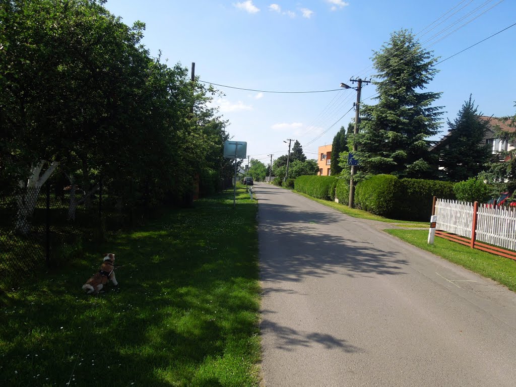 Karviná - ulice Permoníkova - 22.5.2014