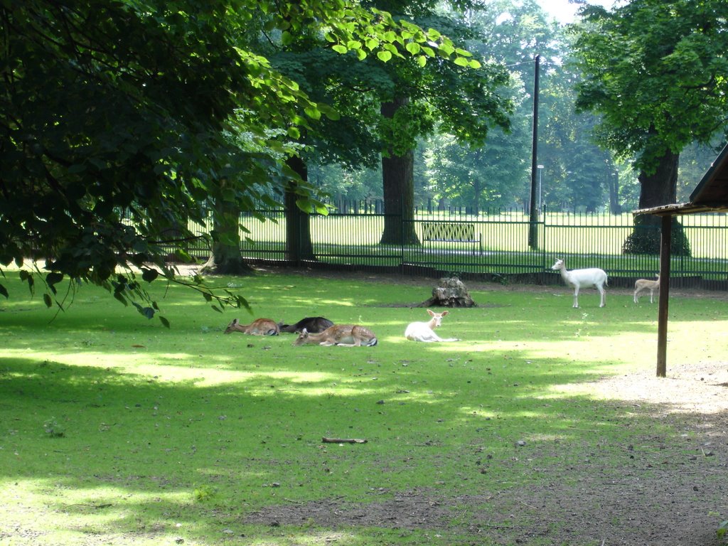 Karviná-park Boženy Němcové-ZOO koutek