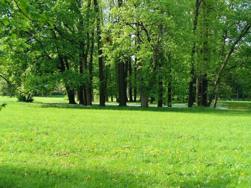 The Park of Bozena Nemcova   in Karvina