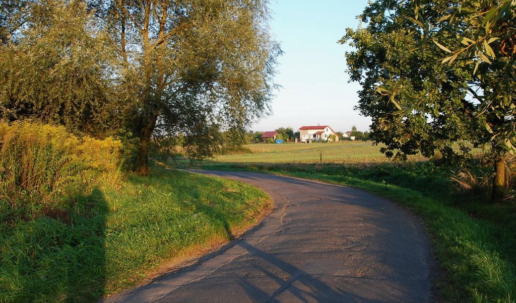 Hlíny