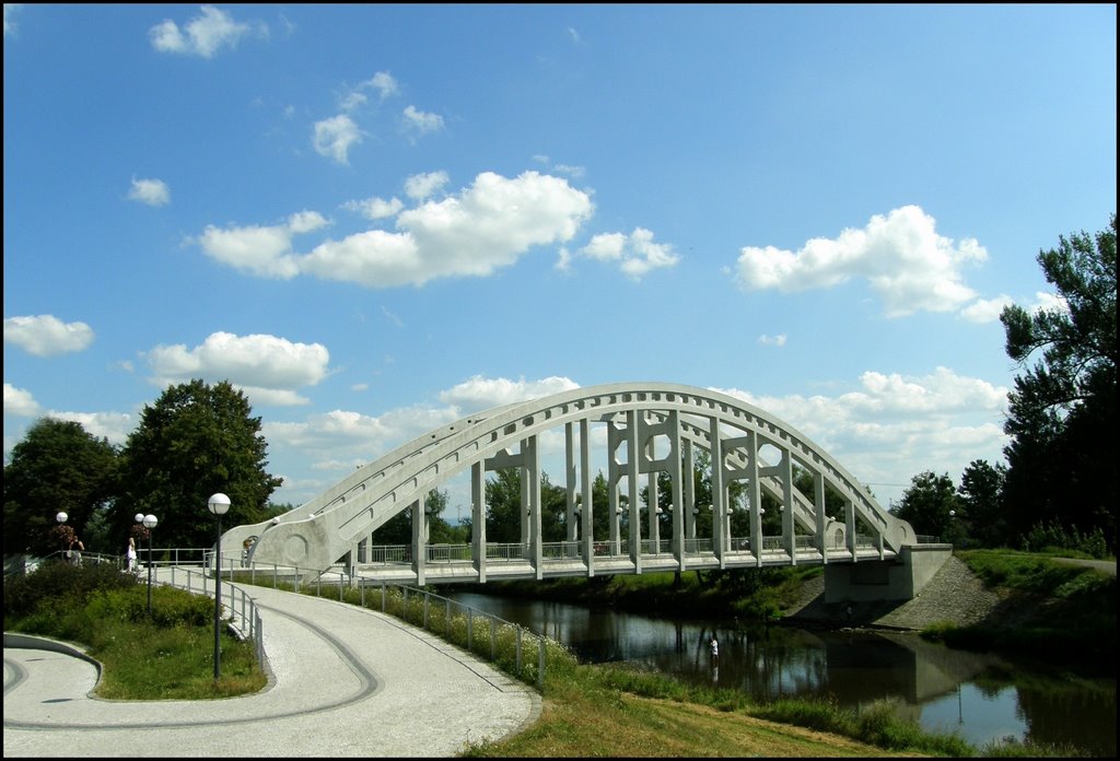 Karvina - Darków - most na Olzie