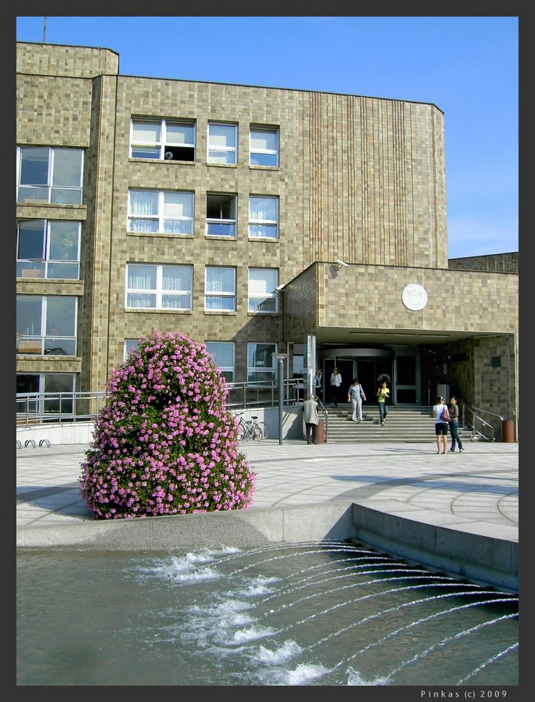 nice flower entrance by JP