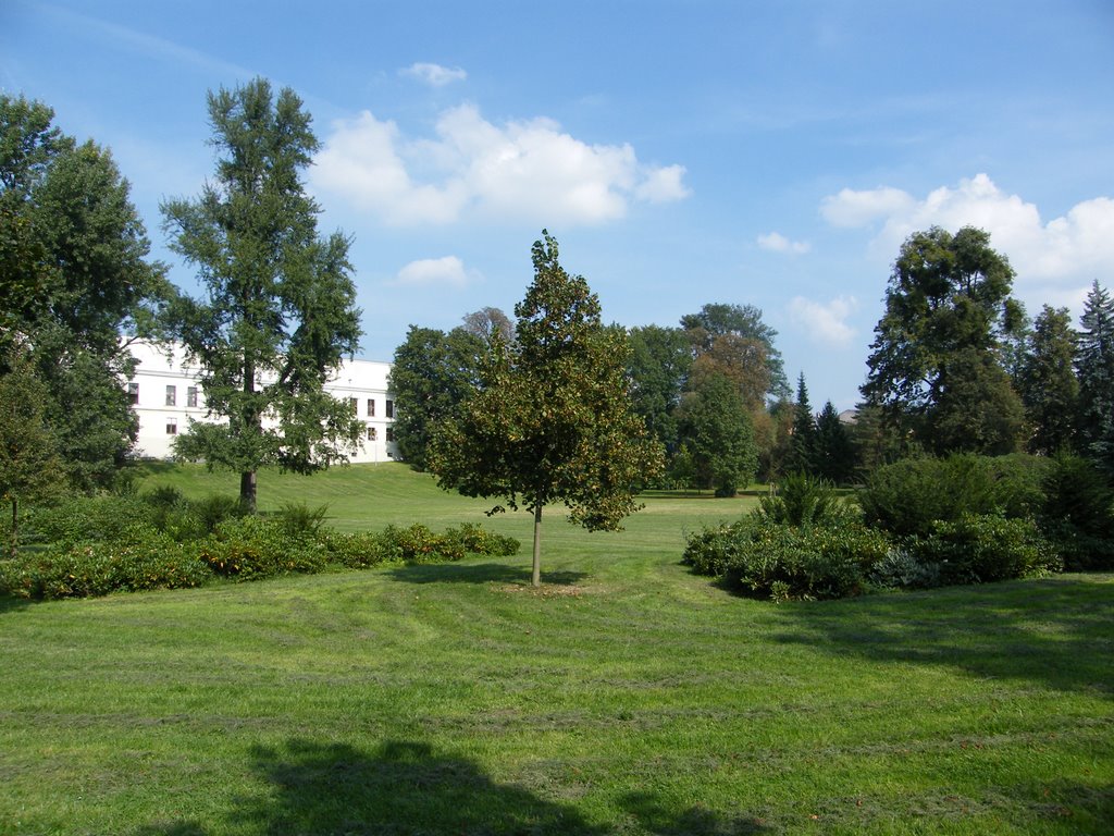 Bozena Nemcove Park