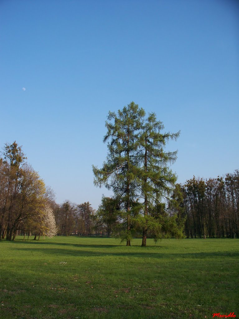 Park of Božena Němcová