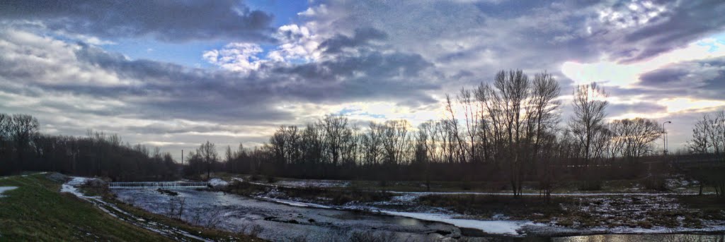 Olše river in winter