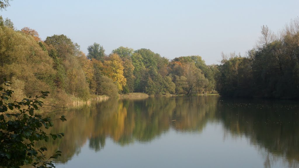 a fall