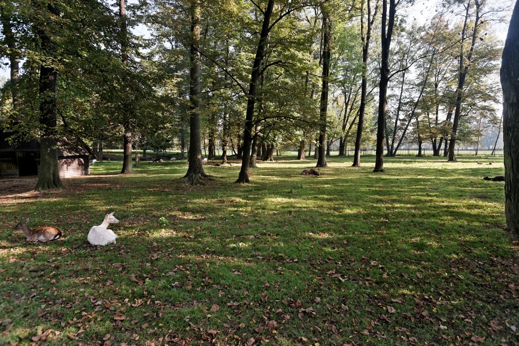 Karviná - Park Boženy Němcové - View ESE