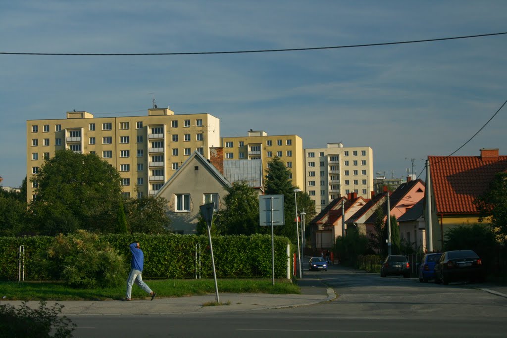 řady domů a paneláků