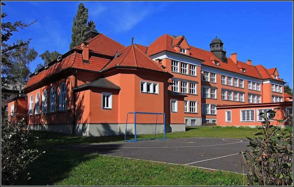 Škola