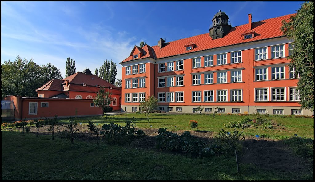 Škola