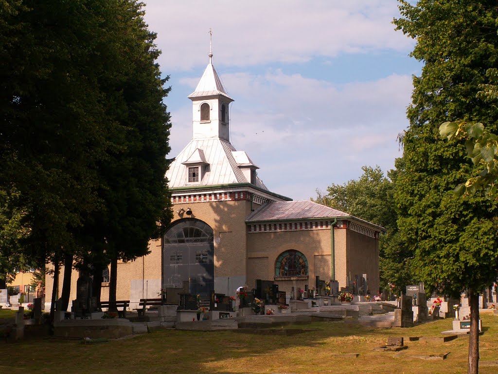 na karvinském hřbitově v červenci 2005