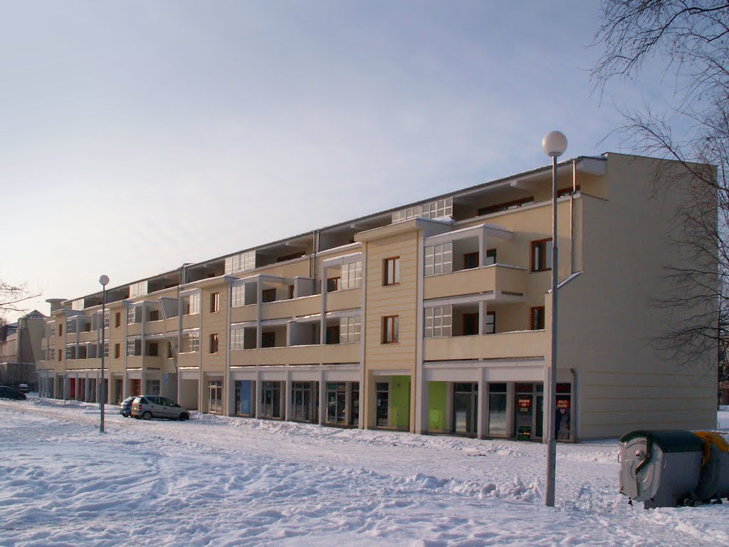 dům na ul. Fryštátská v únoru 2005