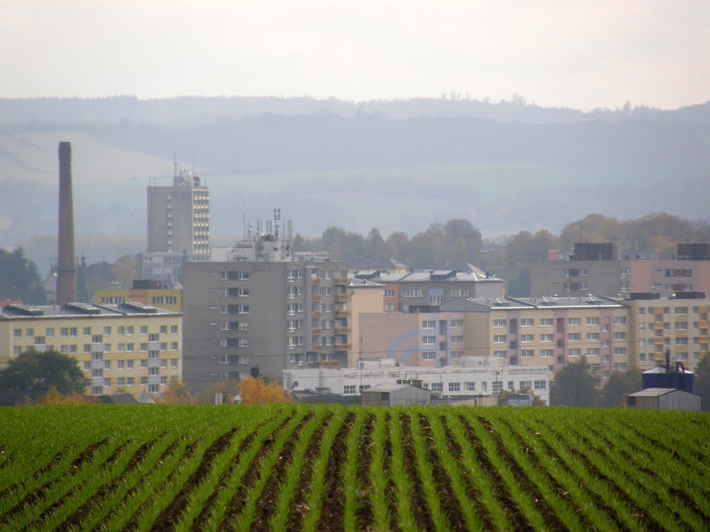 Podzim v Opavě, 50 (Autumn in Opava)