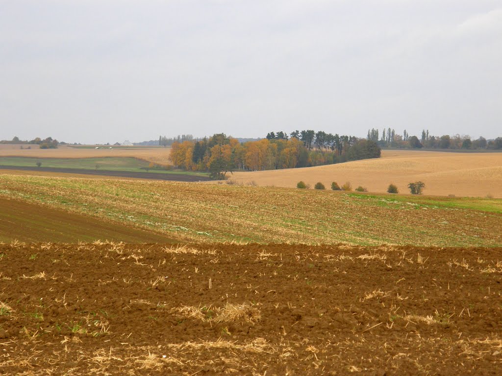 Podzim za Opavou, 2 (Autumn around Opava)