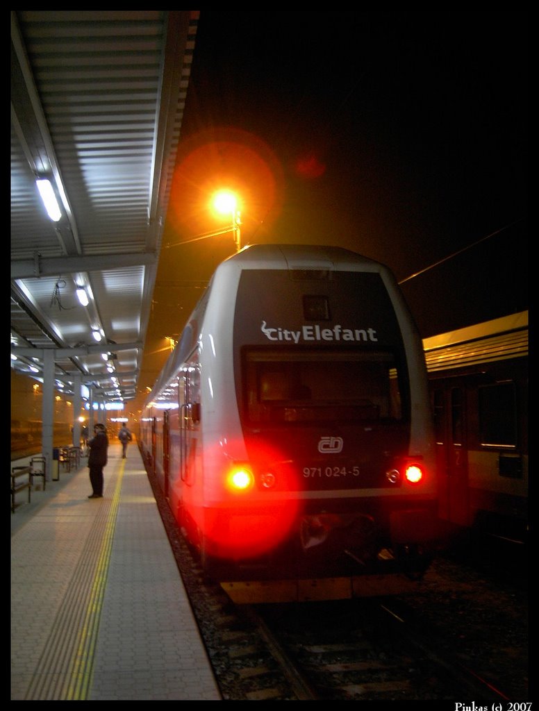 night cityElefant by JP