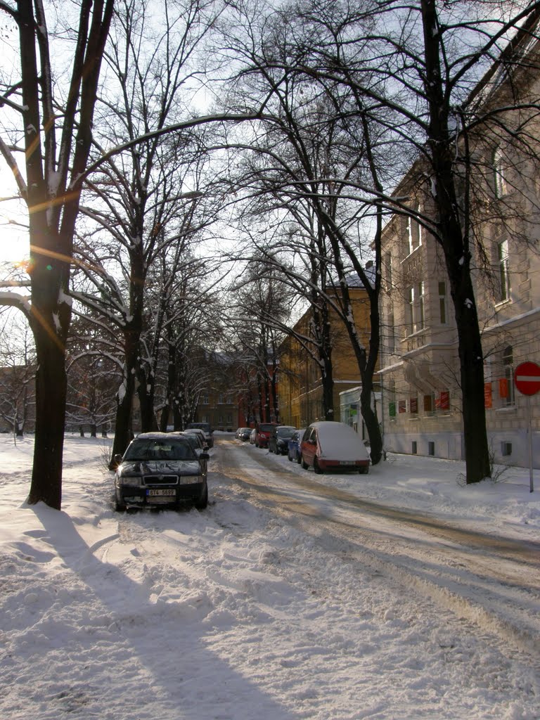 Prosinec v Opavě, 5 (December in Opava)