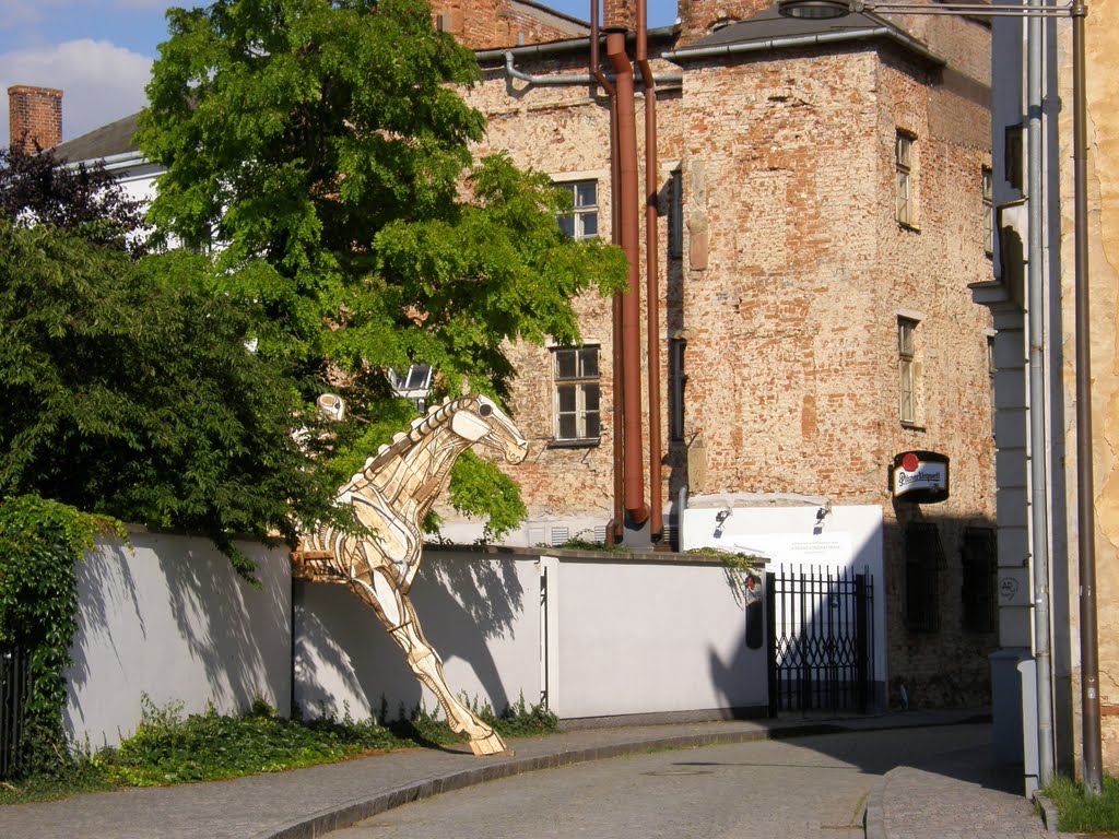 Opava - půl koně s jezdcem projíždí zdí (half horse and rider passes through that wall), 1
