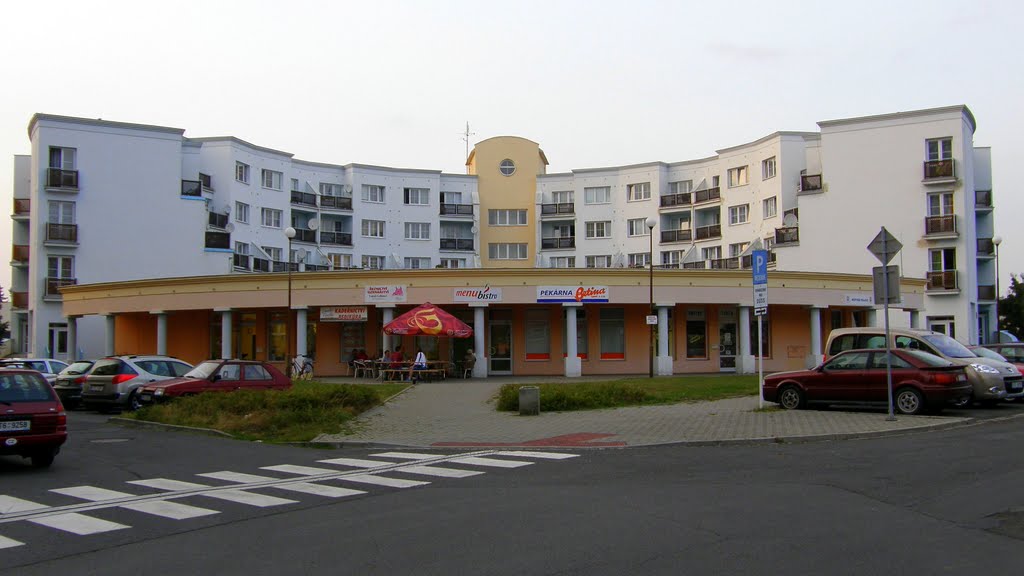 Opava - Druhý domov pro seniory s pečovatelskou službou (Second home for the seniors with nursing service)