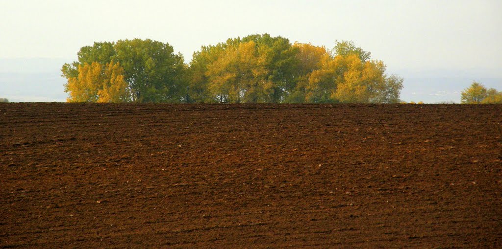 Zorané pole (Plowed field)