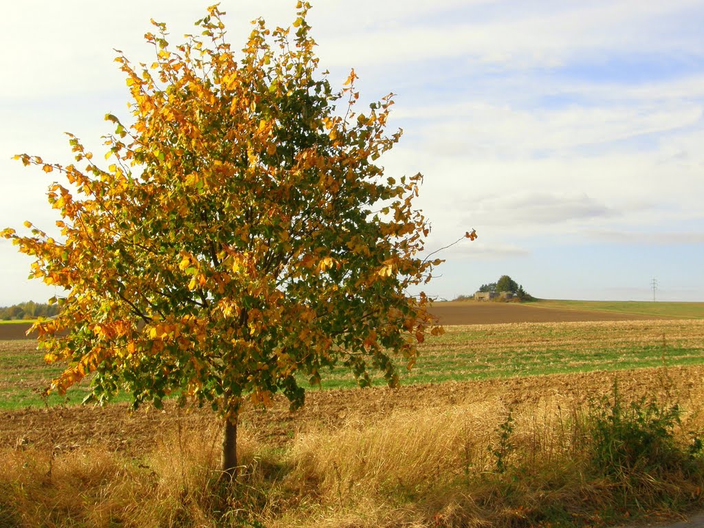 Podzim je tady (Autumn is here)