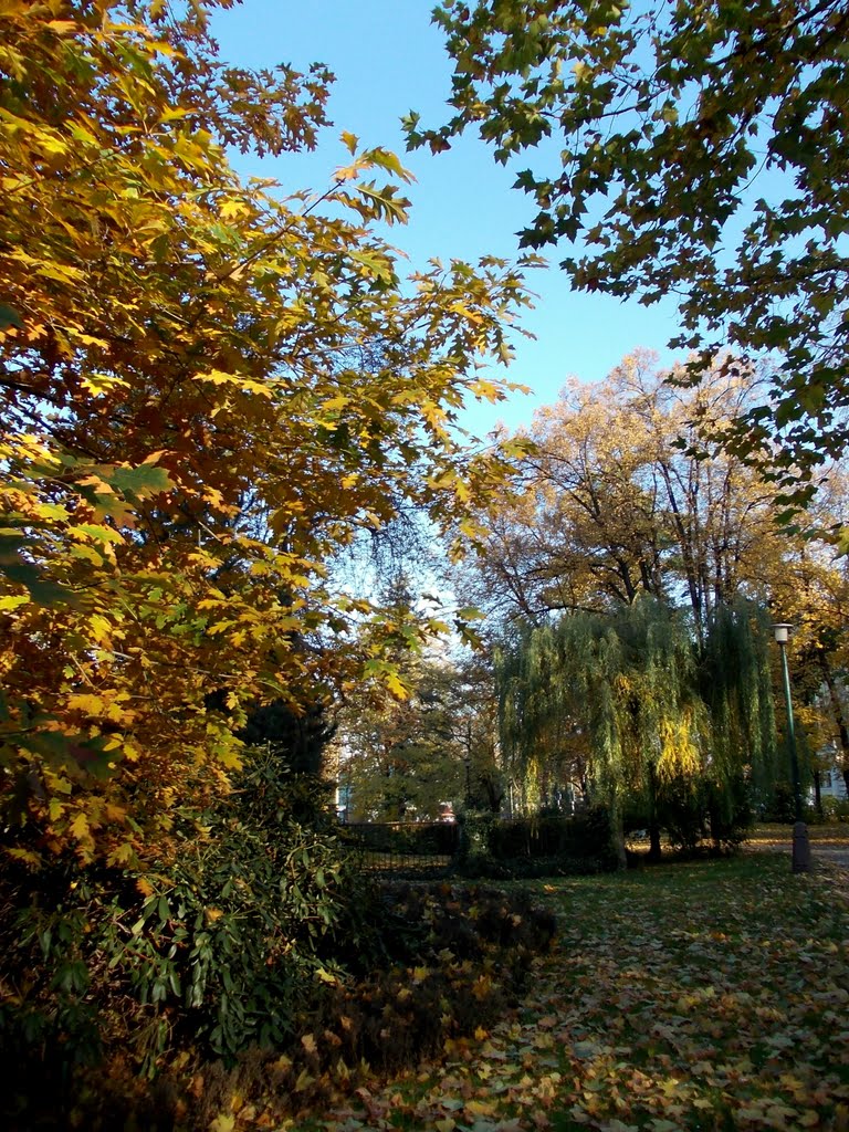 Podzim v opavských parcích (Autumn in parks of Opava), 3